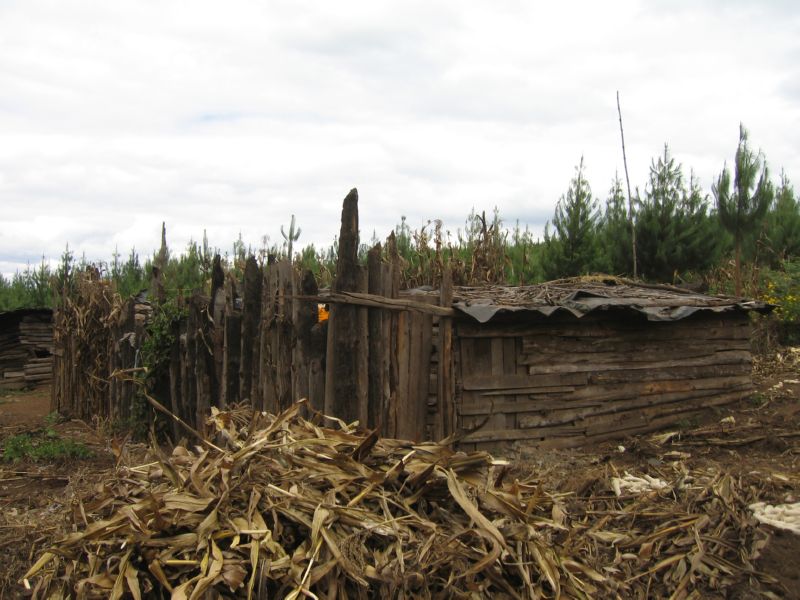 Kili (049) shack